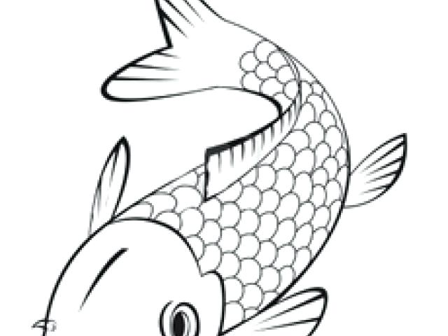640x480 Koi Fish Coloring Pages Fish Outline Coloring