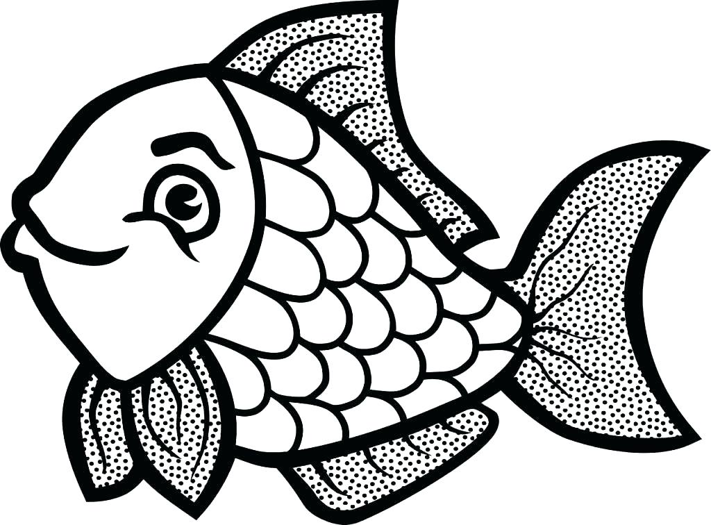 1024x756 Printable Fish Coloring Pages For Adults Jellyfish To Print Free