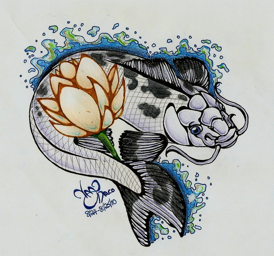 900x841 Realistic Koi Fish Drawing Color