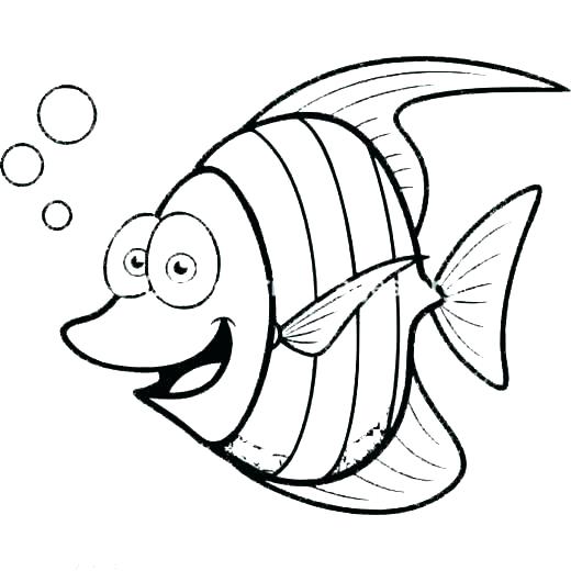 520x520 saltwater fish coloring pages realistic color free of ocean