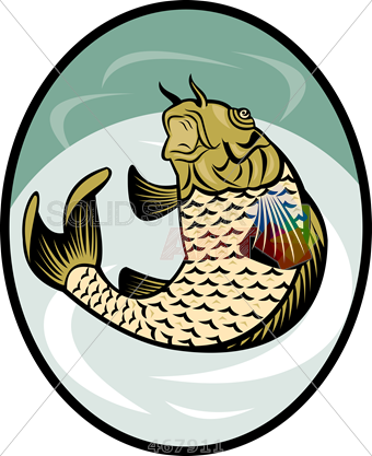 340x417 Carp Drawing Transparent Png Clipart Free Download