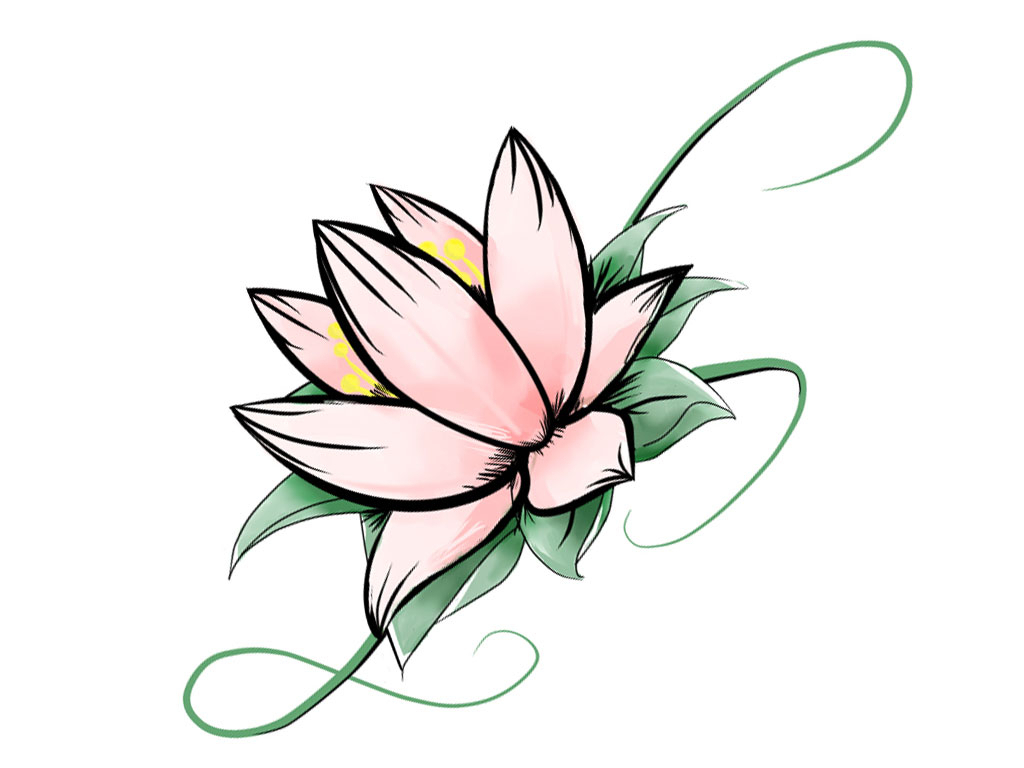 1024x768 Lotus Flower With Leaf Drawing