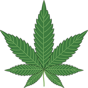 300x299 Free Vector Marijuana Plant