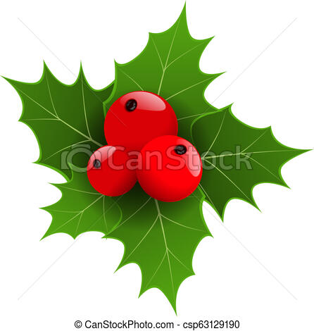 446x470 Realistic Christmas Berries And Green Leaf Vector Illustration