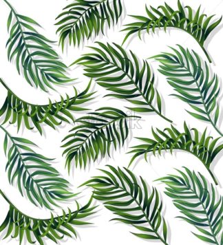 324x356 Tropic Leaves Card Vector Realistic Detailed Exotic Palm Leaf
