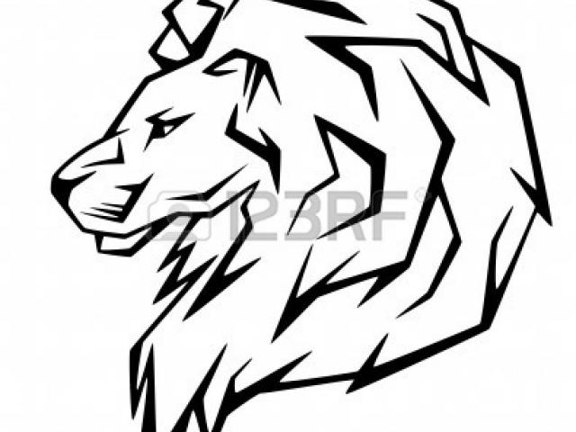 640x480 Realistic Clipart Lion