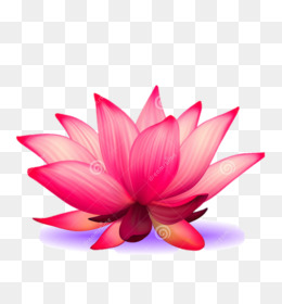 260x280 Flower Realistic Png