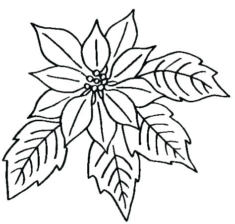 474x451 Lotus Flower Coloring