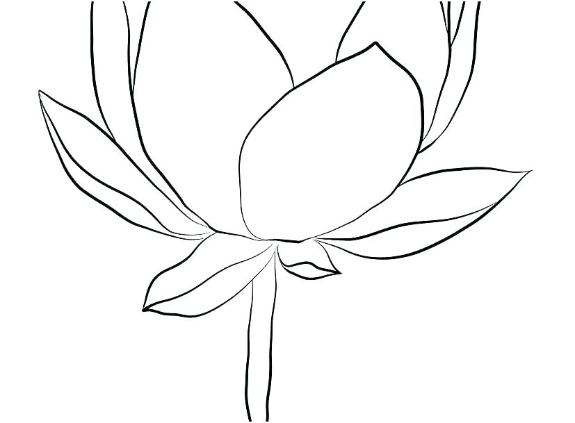 827x609 Lotus Flower Mandala Coloring Pages Printable Drawing Color