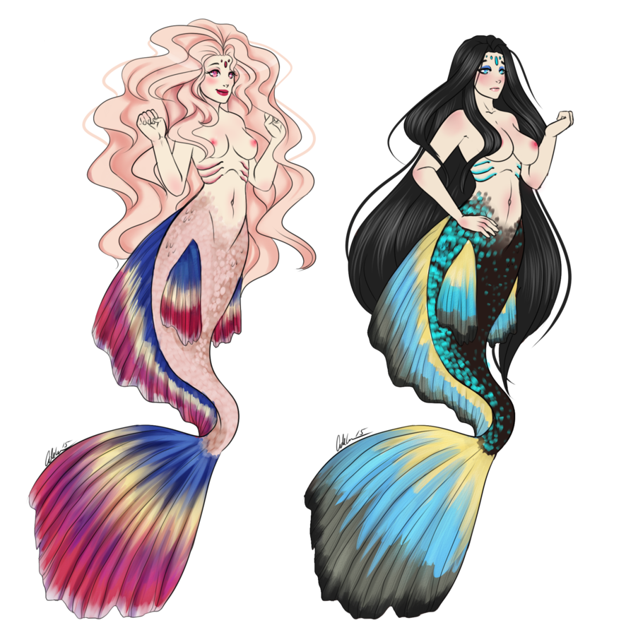 886x902 Collection Of Free Merman Drawing Step Download On Ui Ex