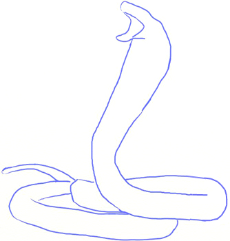 334x350 How To Draw A King Cobra Snake