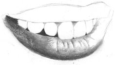 236x135 best pencil observation drawing ideas images pencil art