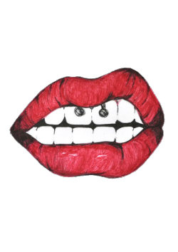 250x354 Collection Of Free Donuts Drawing Realistic Download On Ui Ex