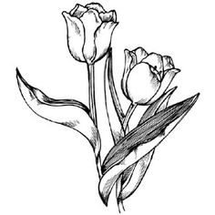 236x236 Popular How To Draw Realistic Trees, Plants Bushes And Rocks