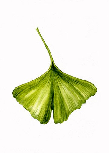 360x504 Tutorials Ilustraciones, Grafito, Dibujos