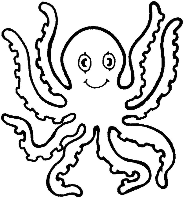 736x791 How To Draw An Octopus Easy