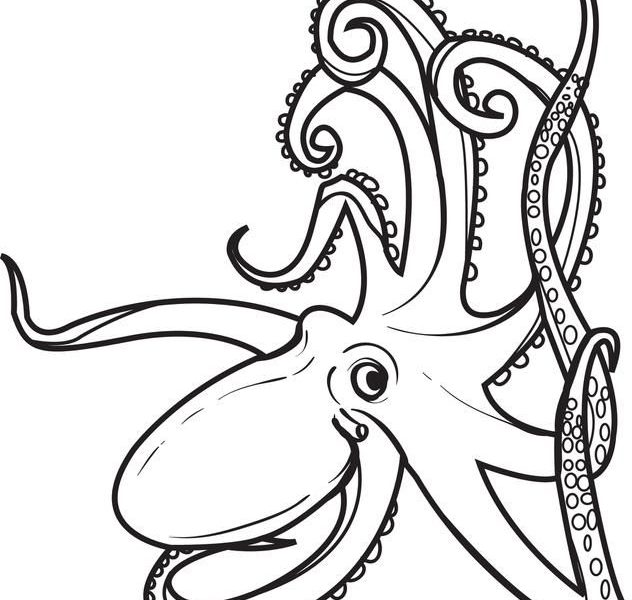 632x600 Octopus Coloring