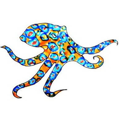 385x385 Octopus Coloring Pages