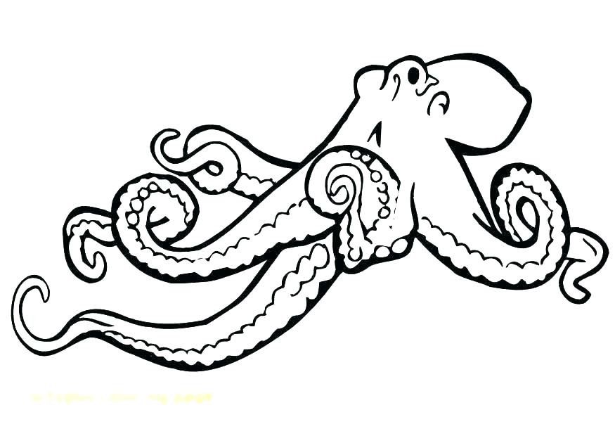 875x620 Octopus Coloring