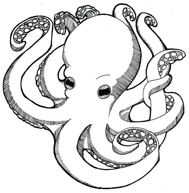 624x636 Coloring Pages Octopus Realistic Octopus Coloring