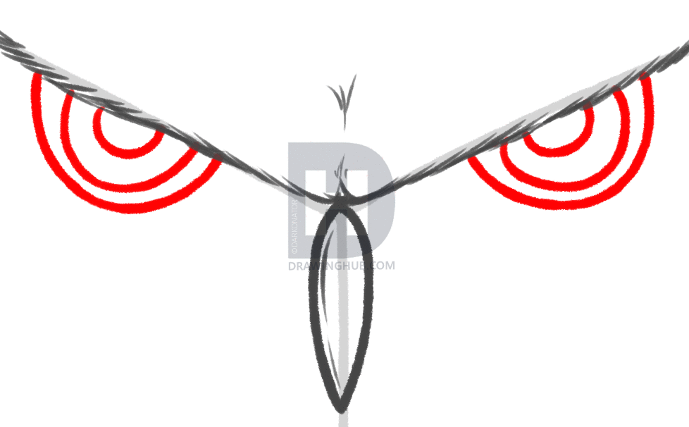 978x606 How To Draw Owl Eyes, Draw An Owl Face, Step