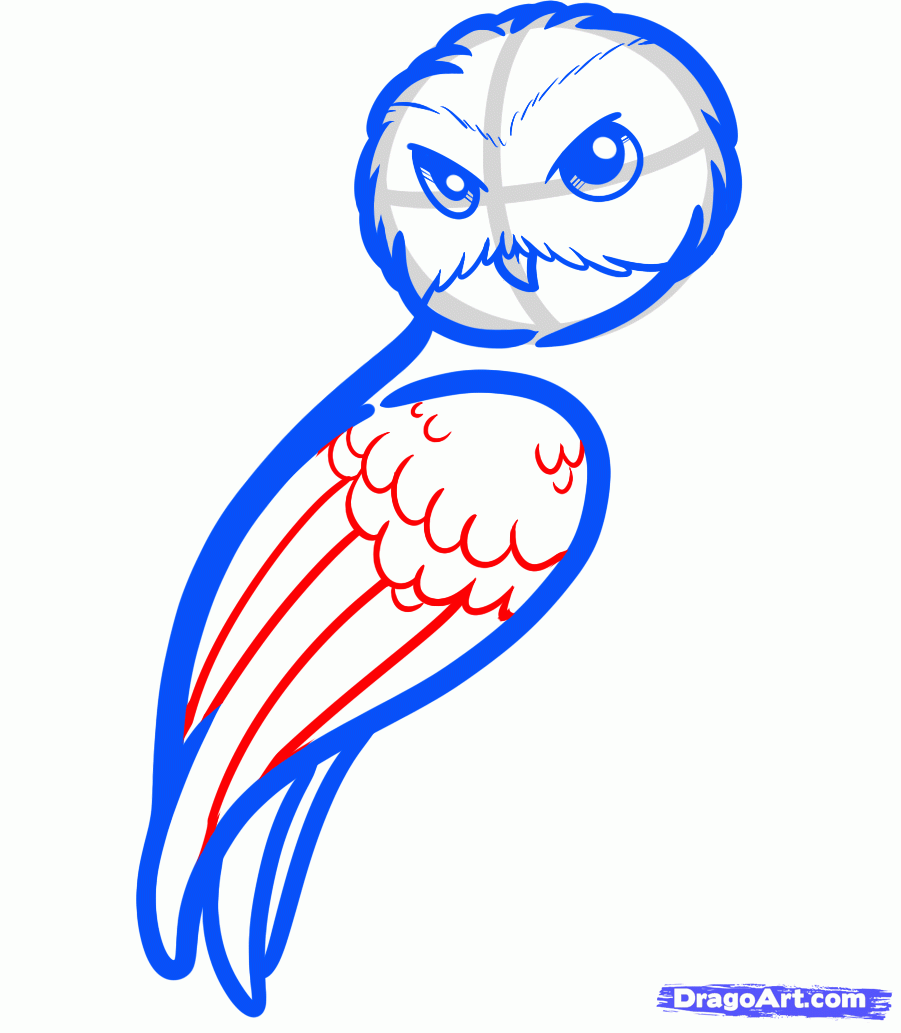 901x1033 How To Draw Hedwig, Harry Potter, Step