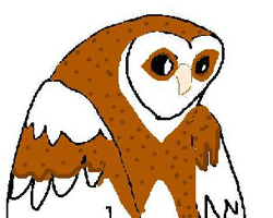 250x200 How To Draw Owls Drawing Tutorials Drawing How To Draw Owls