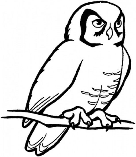 474x549 Realistic Snowy Owl Coloring Pages Coloring Pages Owl Coloring