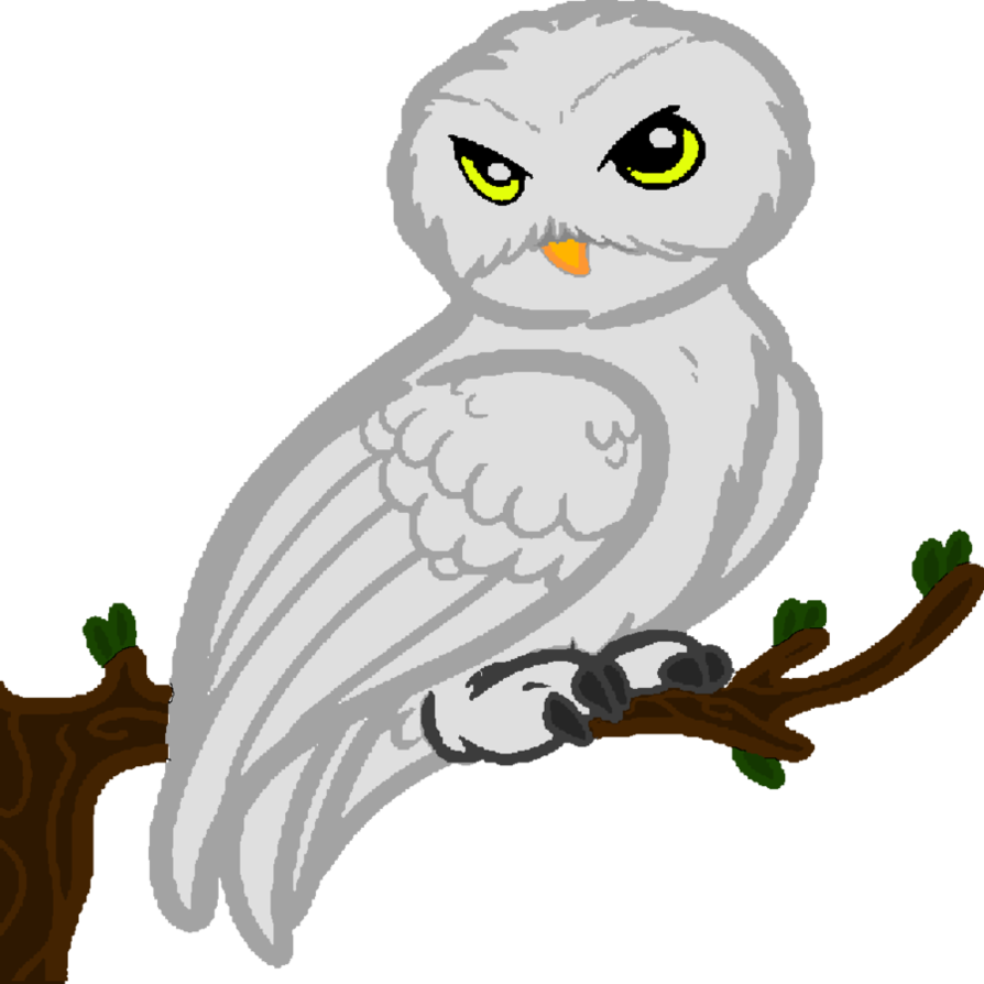 894x894 Collection Of Free Hedwig Drawing Realistic Download On Ui Ex