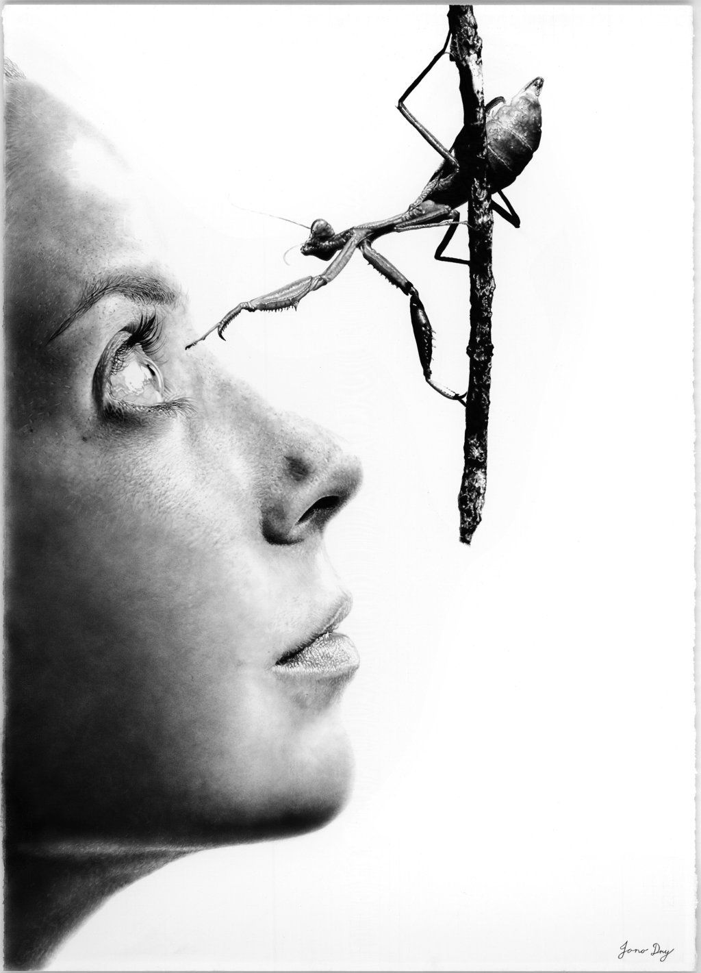 1024x1421 Hyper Realistic Pencil Drawings