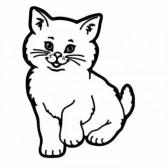 336x336 Cat Face Pencil Drawing A On Yourself Step