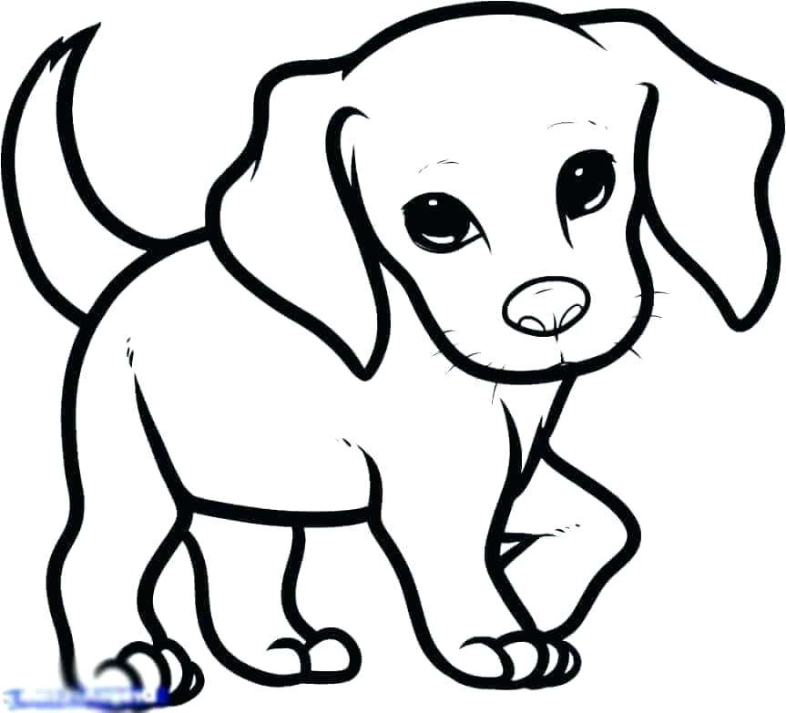 Realistic Puppy Drawing | Free download on ClipArtMag