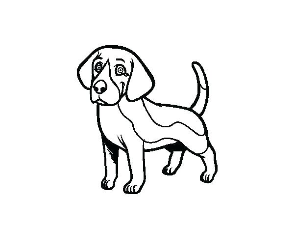 600x470 Collection Of Realistic Beagle Coloring Pages Download Them