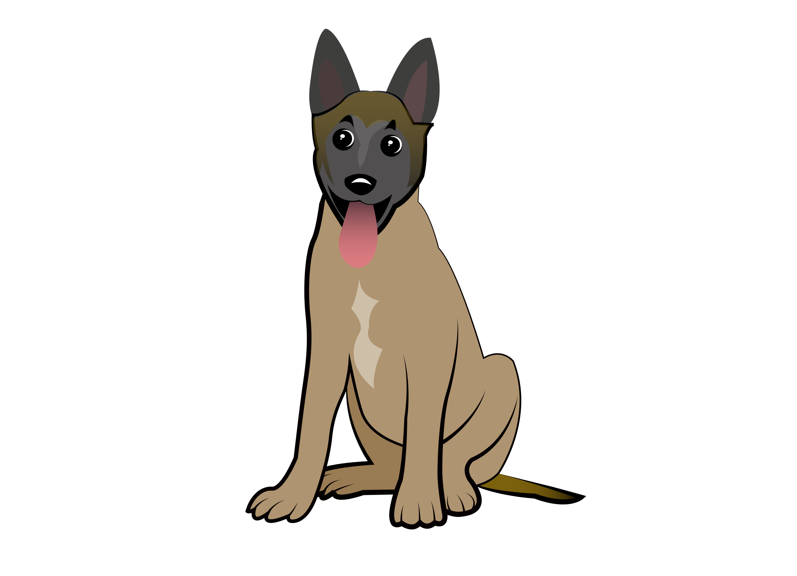 2771x2004 Collection Of Free Puppies Drawing Belgian Malinois Download On Ui Ex