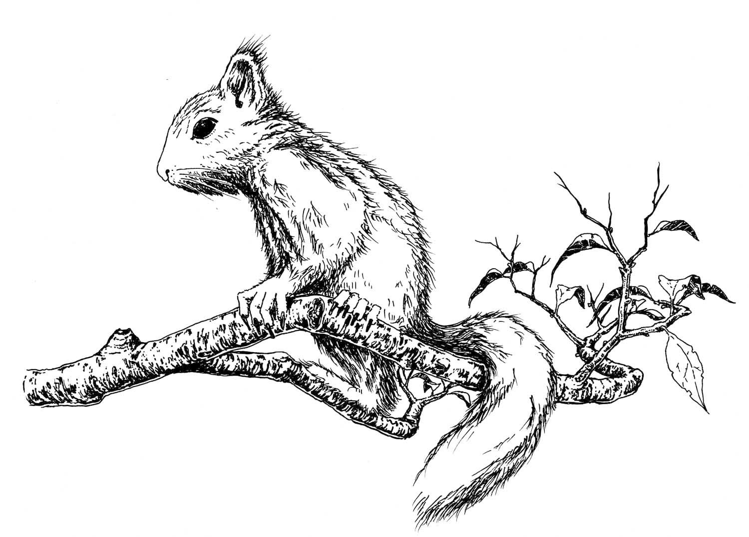 1500x1075 Chrisse Kunst