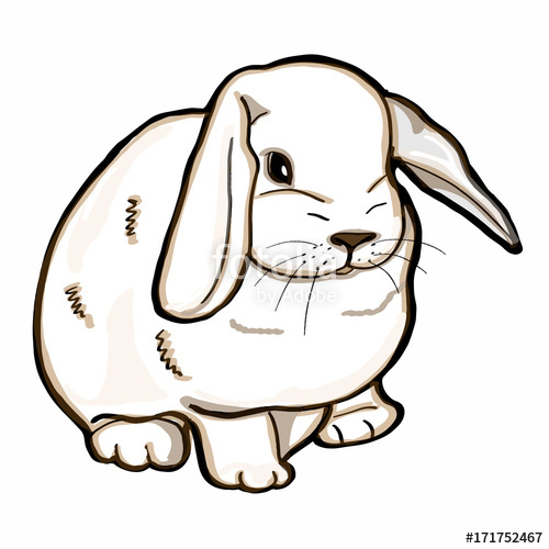 500x500 Realistic Rabbit White Stock Photo And Royalty Free Images