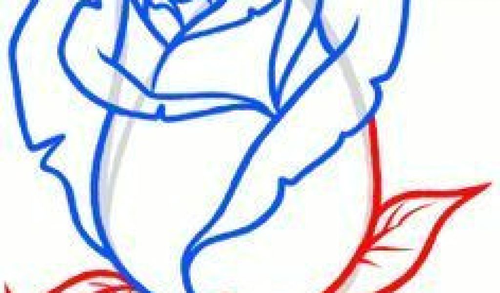 1024x600 Drawing A Realistic Rose Step