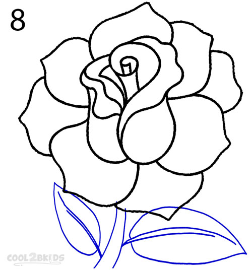 500x536 How To Draw A Realistic Rose