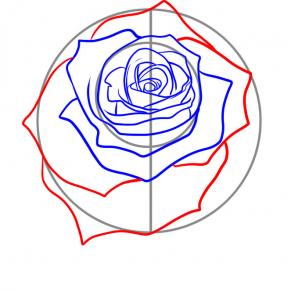 302x291 How To Draw A Realistic Rose, Draw Real Rose, Step