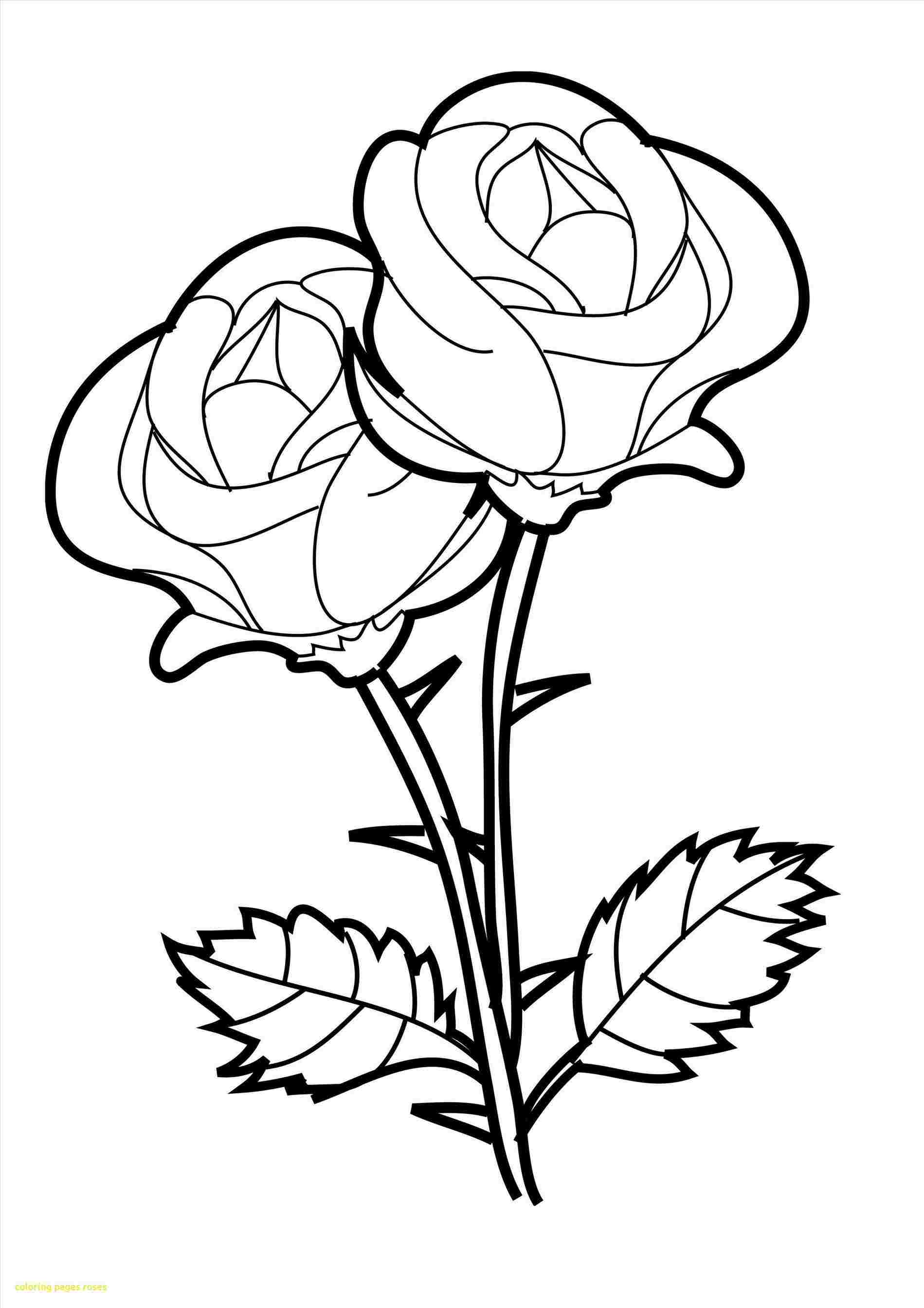 1899x2687 How Realistic Rose Outline Drawing To Draw A Rose In Pencil