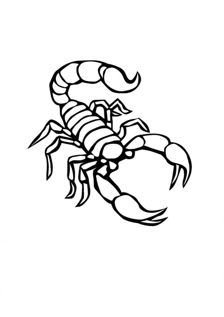 722x1024 Free Printable Scorpion Coloring Pages For Kids Desert