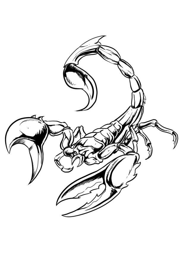 636x900 zodiac tattoo designs scorpio tattoos tattoo designs, zodiac