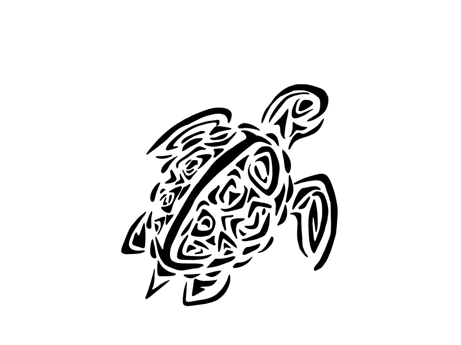 1600x1200 New Tribal Turtle Tattoos