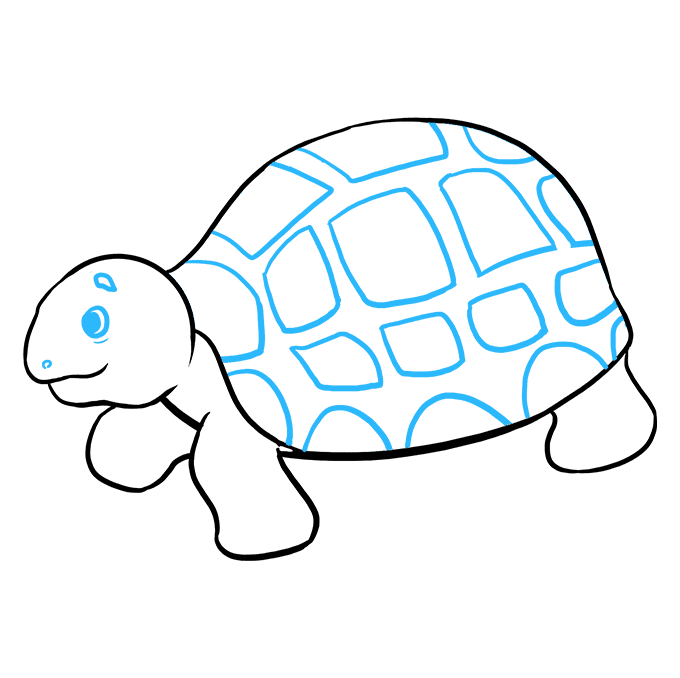 680x678 Pictures Of Sea Turtles To Draw