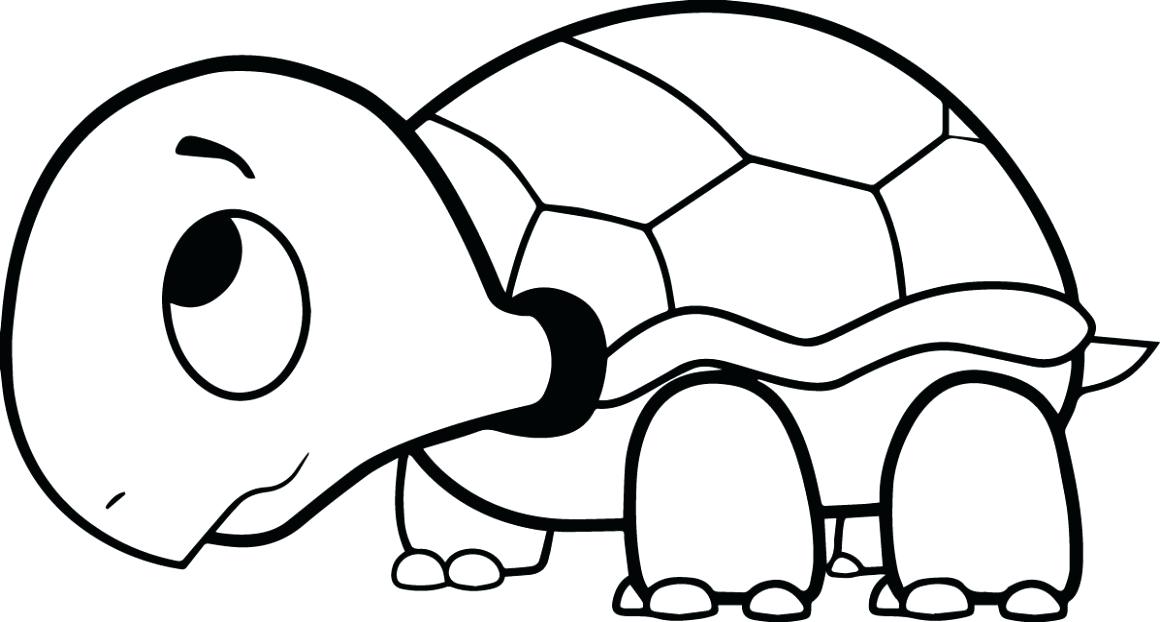 1160x622 Turtle Cartoon Drawing How To Draw Turtle Sea Turtle Cartoon