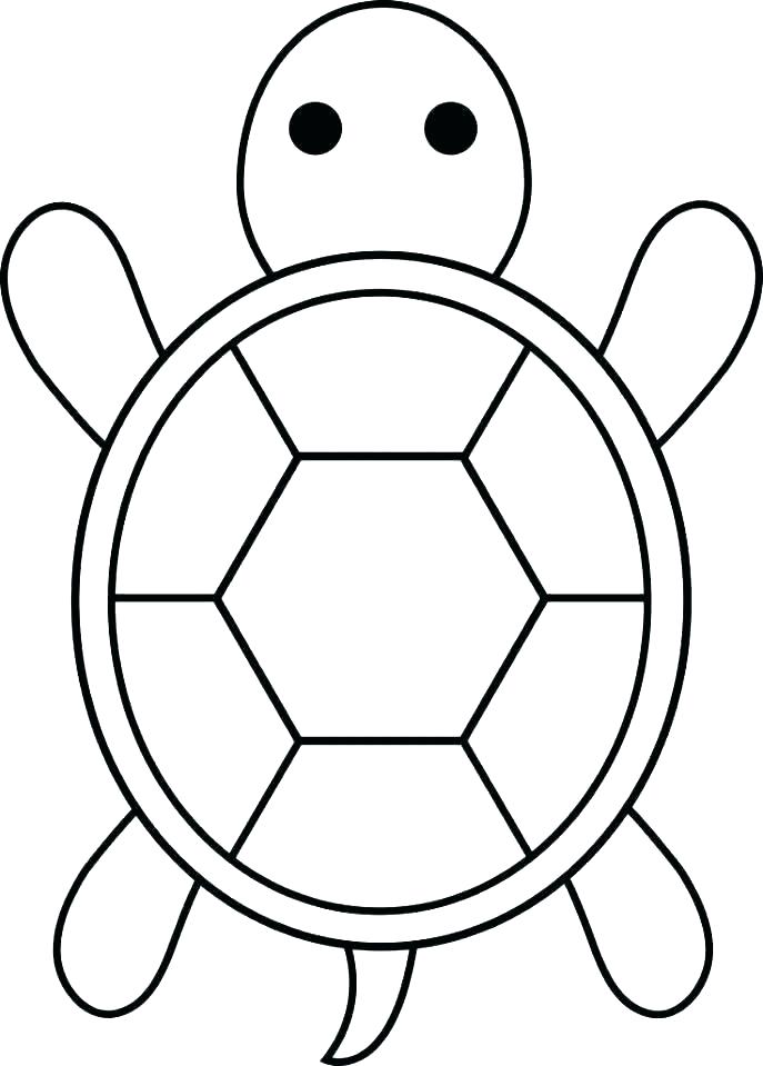 687x959 Baby Turtle Drawing