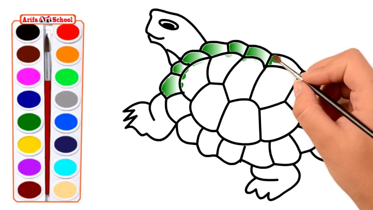 1280x720 How To Draw A Realistic Sea Turtle Step