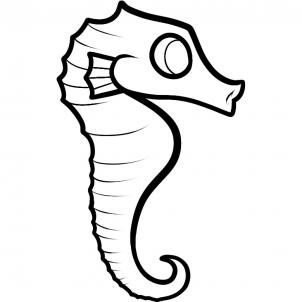 302x302 How To Draw A Seahorse For Kids, Step
