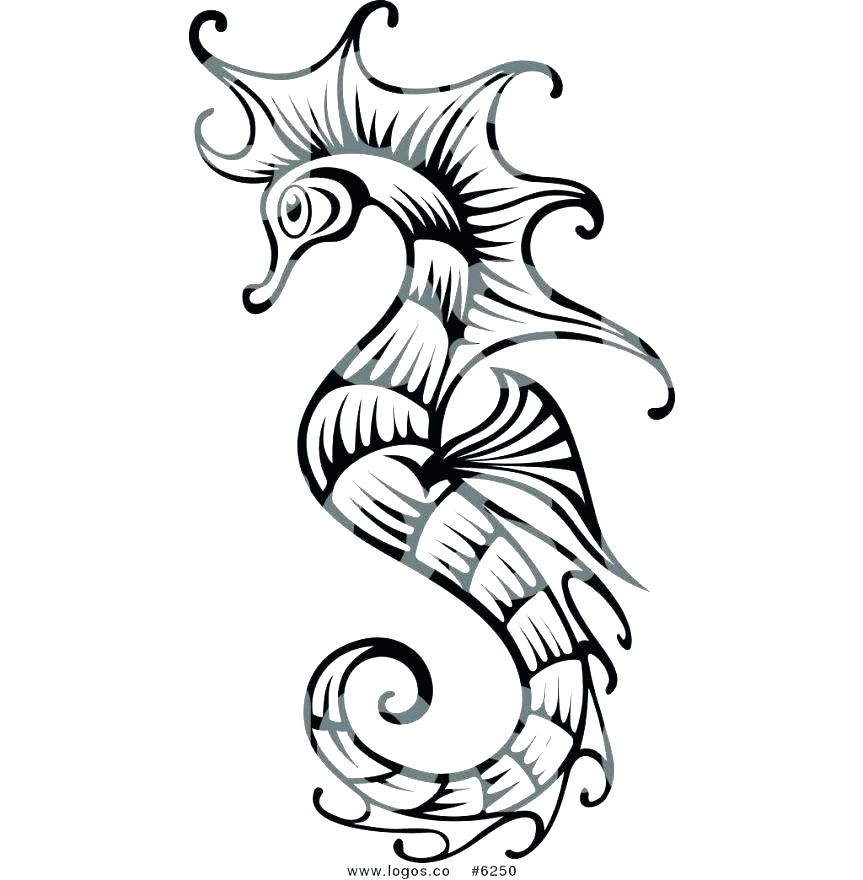 863x880 Sea Horse Coloring