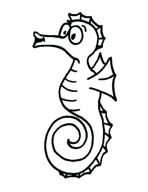 Realistic Seahorse Drawing | Free download on ClipArtMag